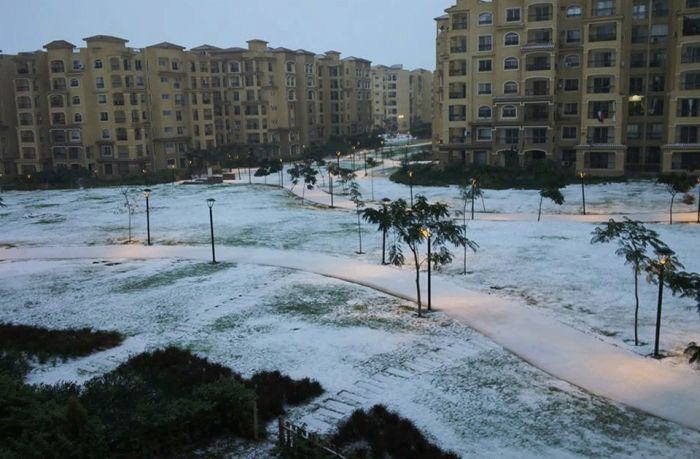 Snow in Egypt (27 pics)