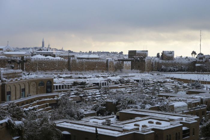 Snow in Egypt (27 pics)