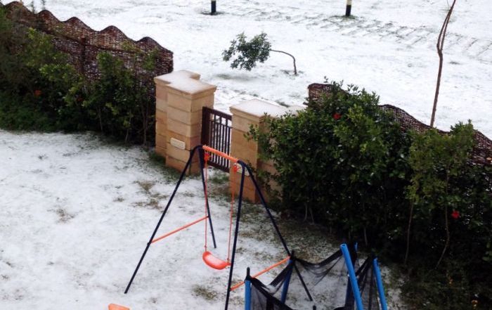 Snow in Egypt (27 pics)