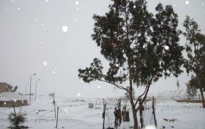 Snow in Egypt (27 pics)