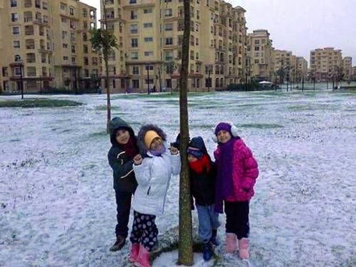 Snow in Egypt (27 pics)