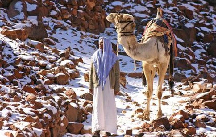 Snow in Egypt (27 pics)