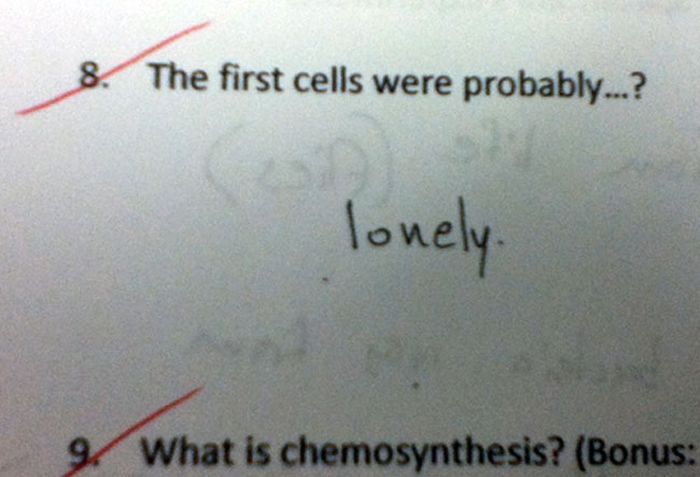 Funny Exam Answers. Part 8 (37 pics)