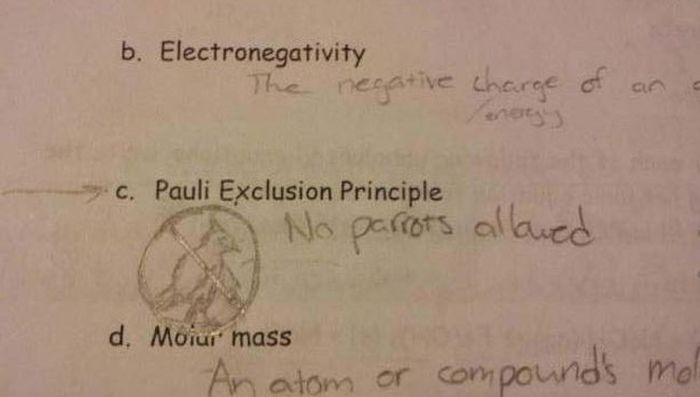 Funny Exam Answers. Part 8 (37 pics)