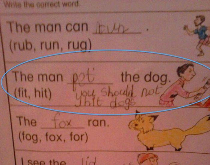 Funny Exam Answers. Part 8 (37 pics)