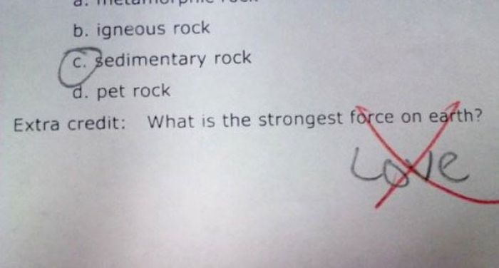 Funny Exam Answers. Part 8 (37 pics)