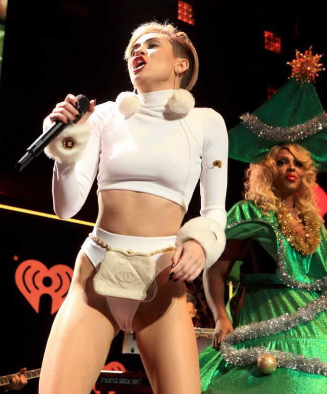 Sexy Miley Cyrus Concert Photos (27 pics)