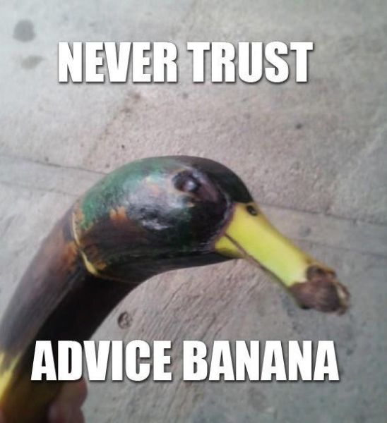 Acid Picdump (108 pics)