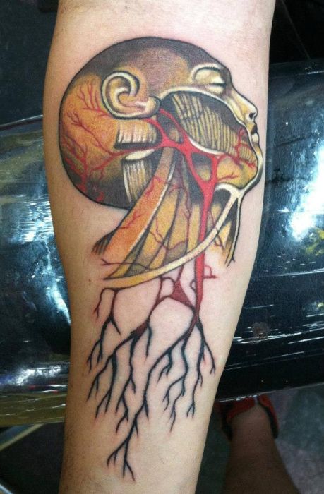 Awesome Tattoos (100 pics)