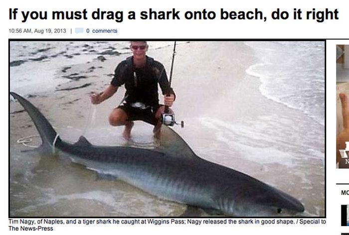 Only in Florida, Only in 2013 (40 pics)