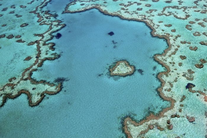 The Great Barrier Reef (34 pics)