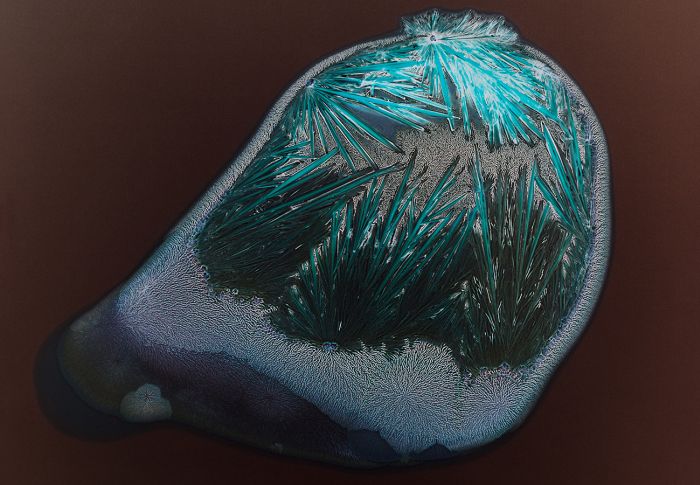 Drugs Under the Microscope (14 pics)