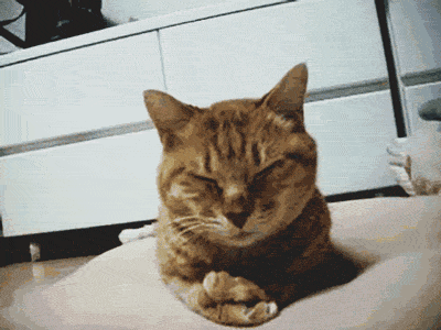 Acid Gifdump, December 24, 2013 (25 gifs)
