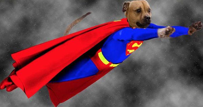 Photoshopping Things (46 pics)