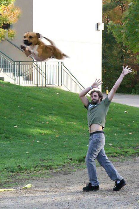 Photoshopping Things (46 pics)