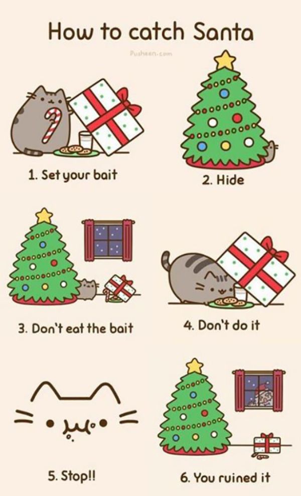 Funny Christmas Cats (30 pics)