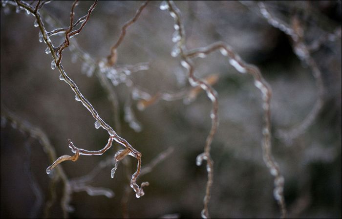 Ice Storm in Canada (21 pics)