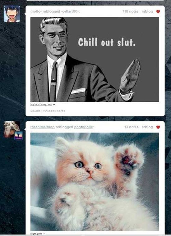 Tumblr Dashboard Coincidences (30 pics)