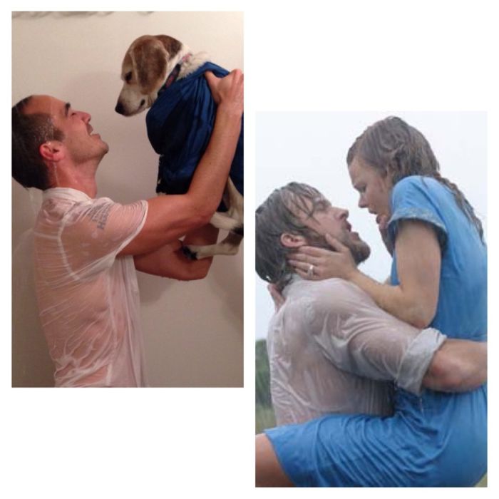 Reenacting Famous Movie Scenes With a Dog (12 pics)