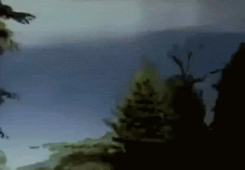 Did It Ever Happen to You When... Part 70 (16 gifs)