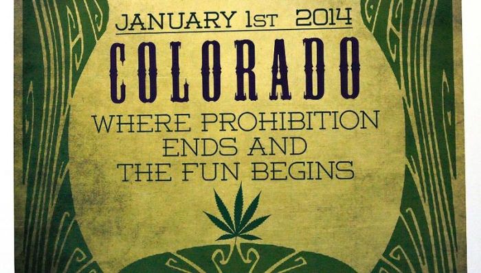 Colorado Legalizes Marijuana (11 pics)