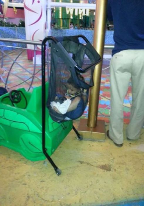 Parenting (24 pics)