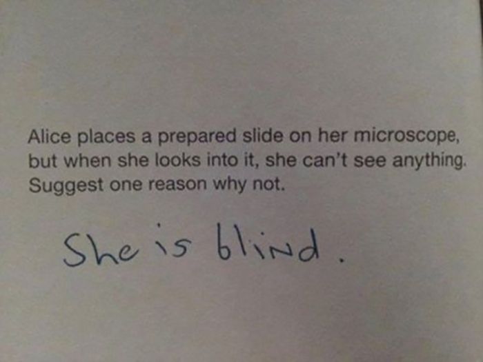 Clever People (34 pics)