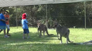 Acid Gifdump, January 08, 2014 (25 gifs)