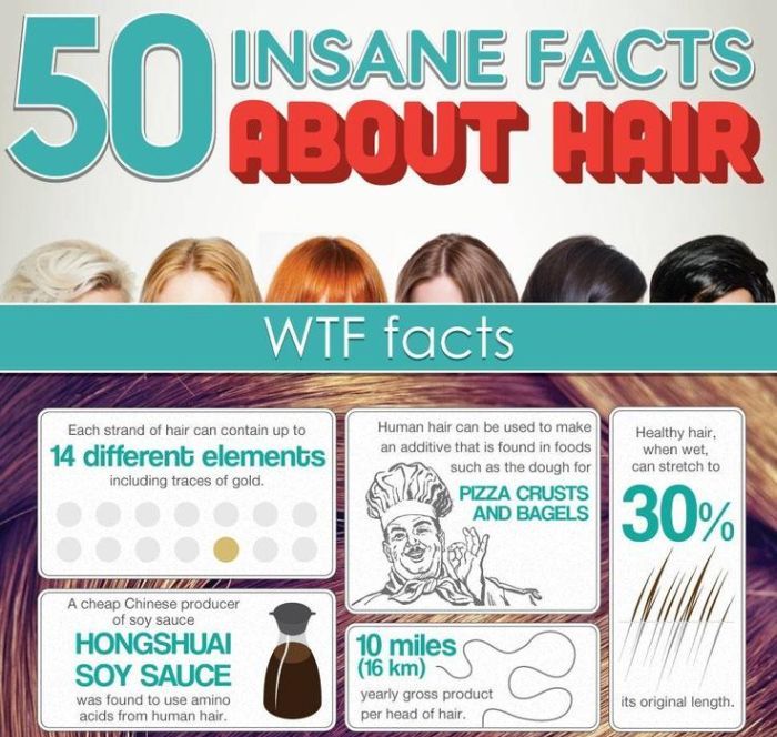 50 Insane Facts About Hair (infographic)