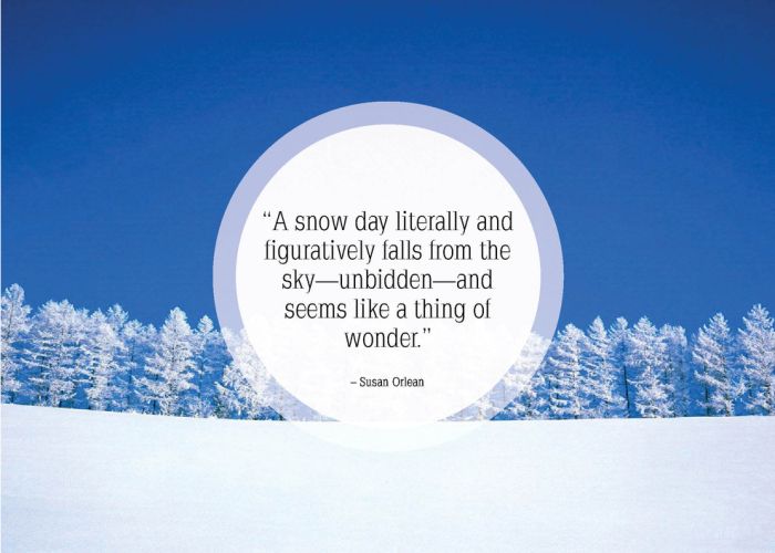 Great Quotes About Snow (25 pics)