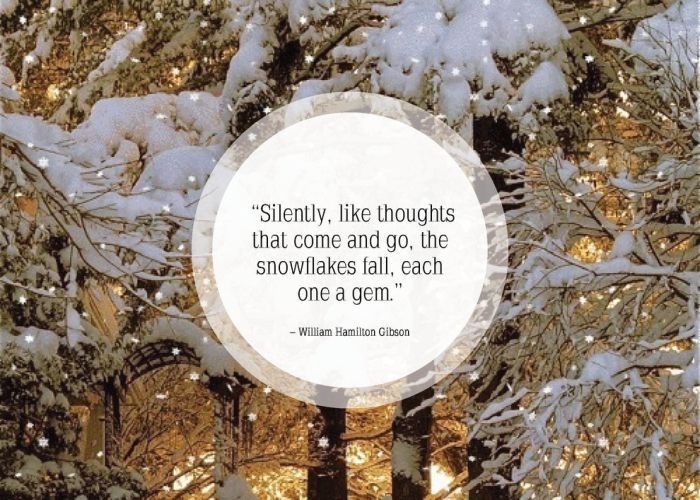 Great Quotes About Snow (25 pics)