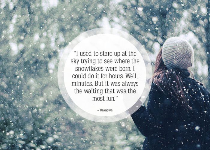 Great Quotes About Snow (25 pics)