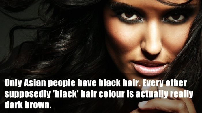 Fun Facts. Part 17 (23 pics)