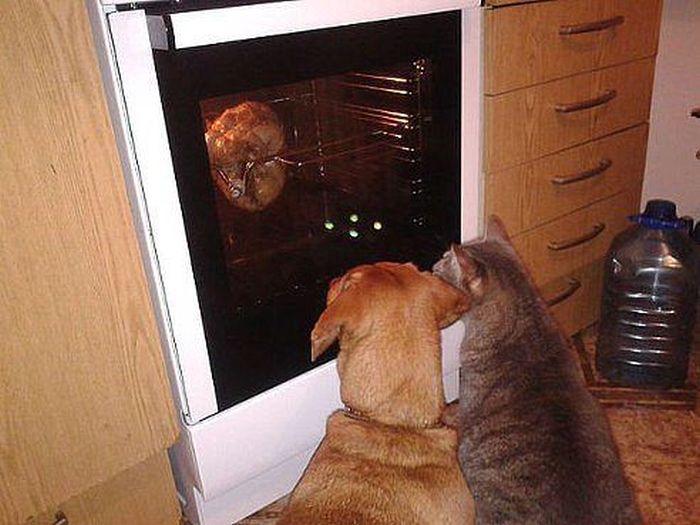 Acid Picdump (122 pics)