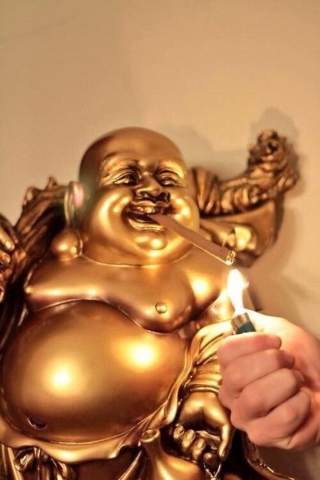 Acid Picdump (122 pics)