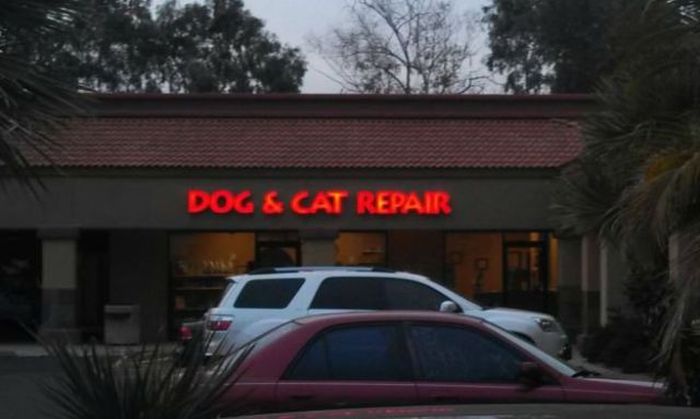 Acid Picdump (122 pics)