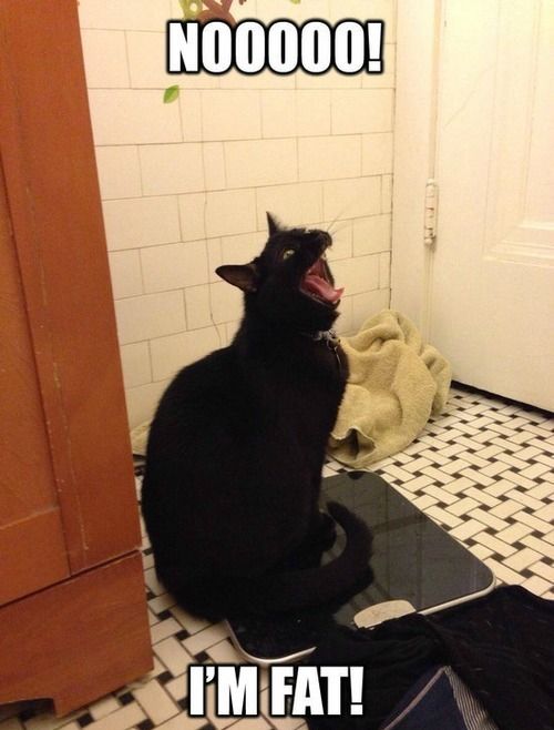 Acid Picdump (122 pics)