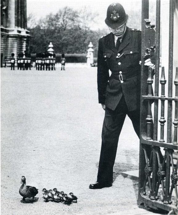Interesting Photos from the LIFE Magazine (52 pics)