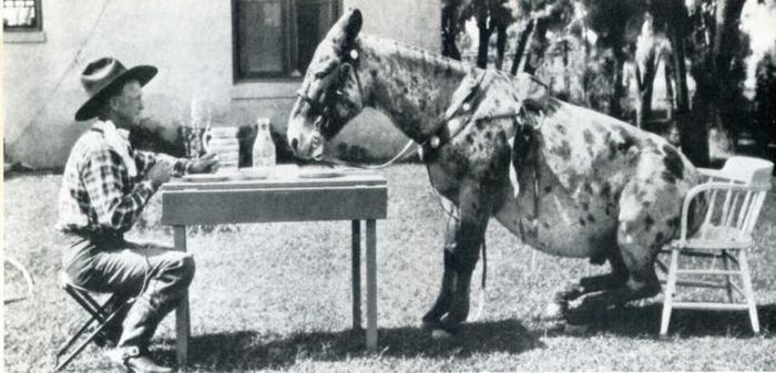 Interesting Photos from the LIFE Magazine (52 pics)