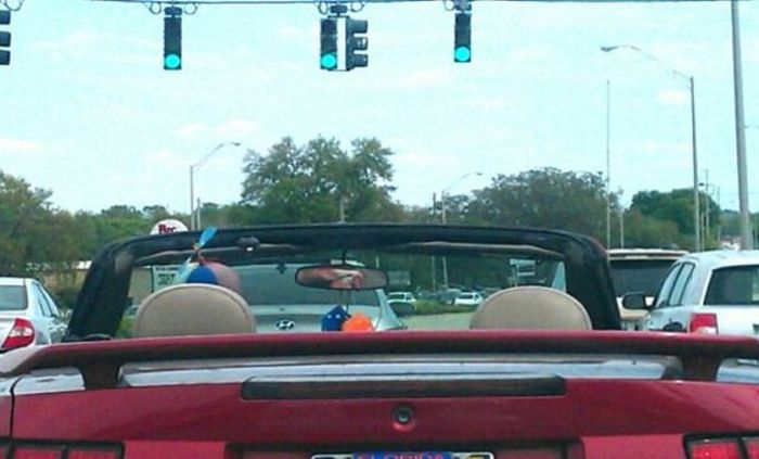 Acid Picdump (124 pics)