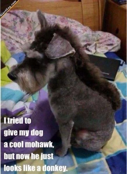 Acid Picdump (120 pics)