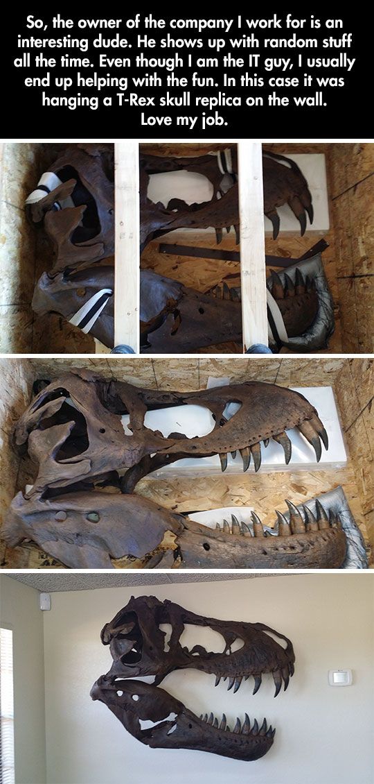 Acid Picdump (120 pics)