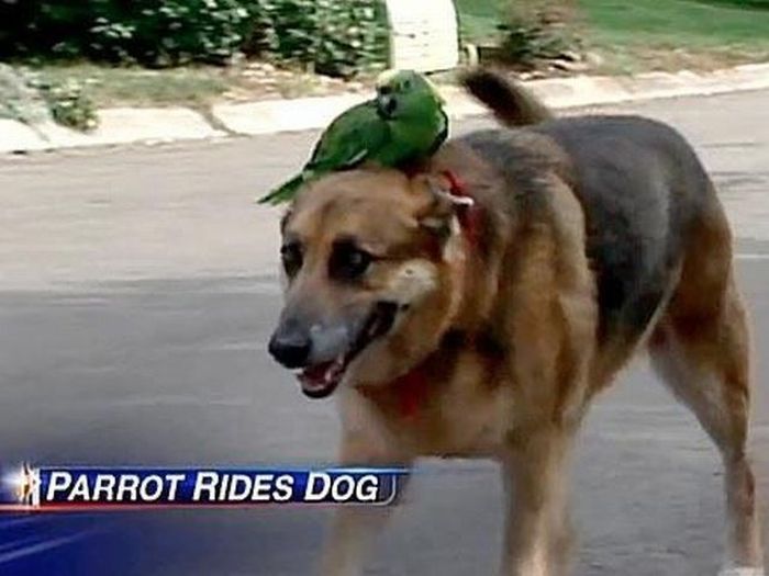 Acid Picdump (120 pics)