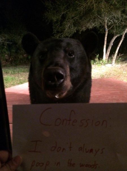 Acid Picdump (120 pics)