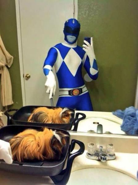 Acid Picdump (120 pics)