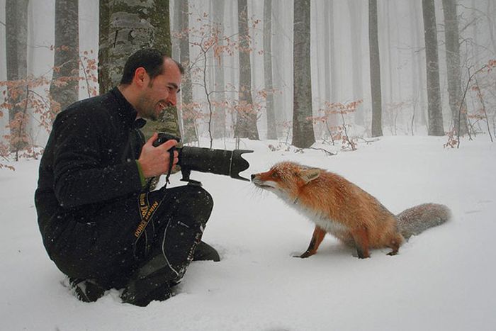 Beautiful Moments (31 pics)