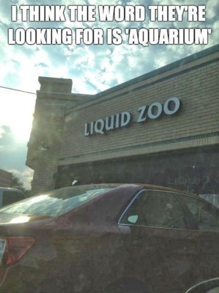 Almost Nailed It. Part 8 (50 pics)