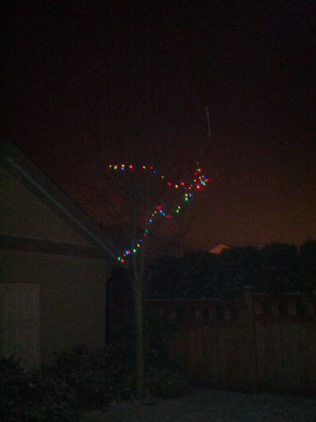 Almost Nailed It. Part 8 (50 pics)