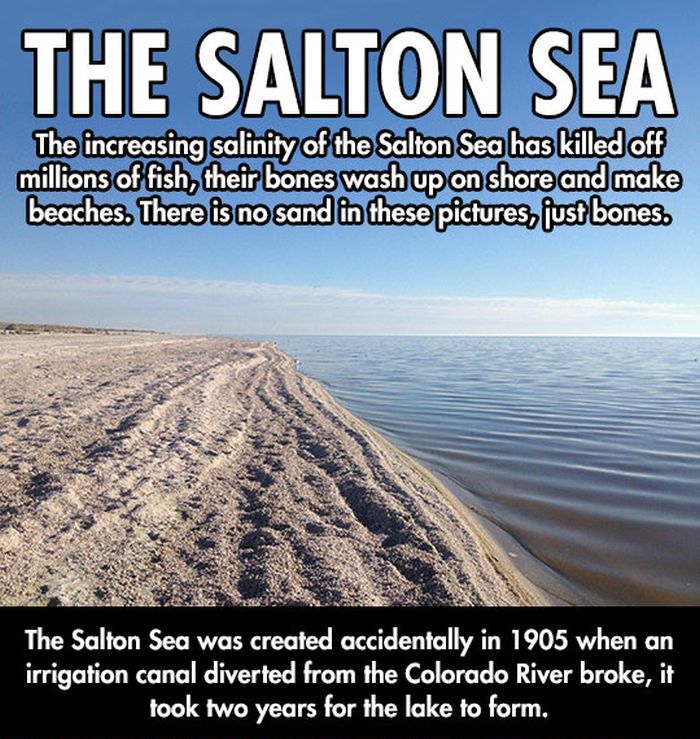 Salton Sea (5 pics)