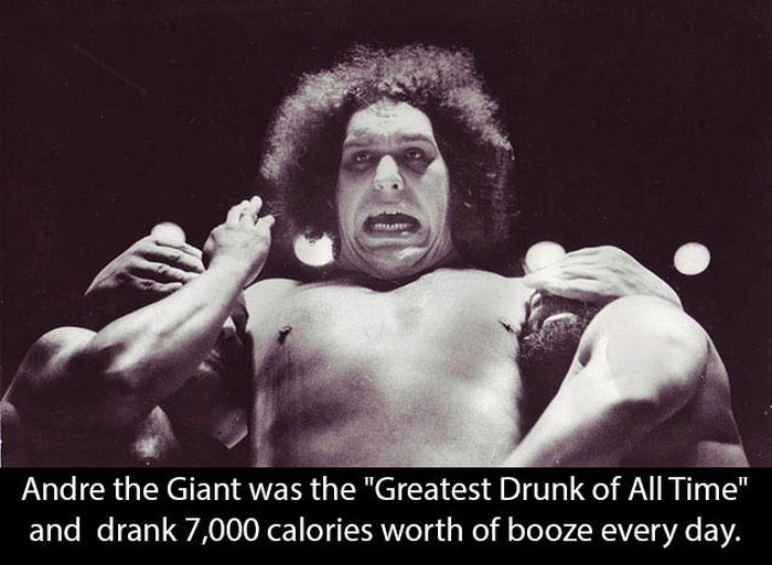 Andre The Giant (16 pics)